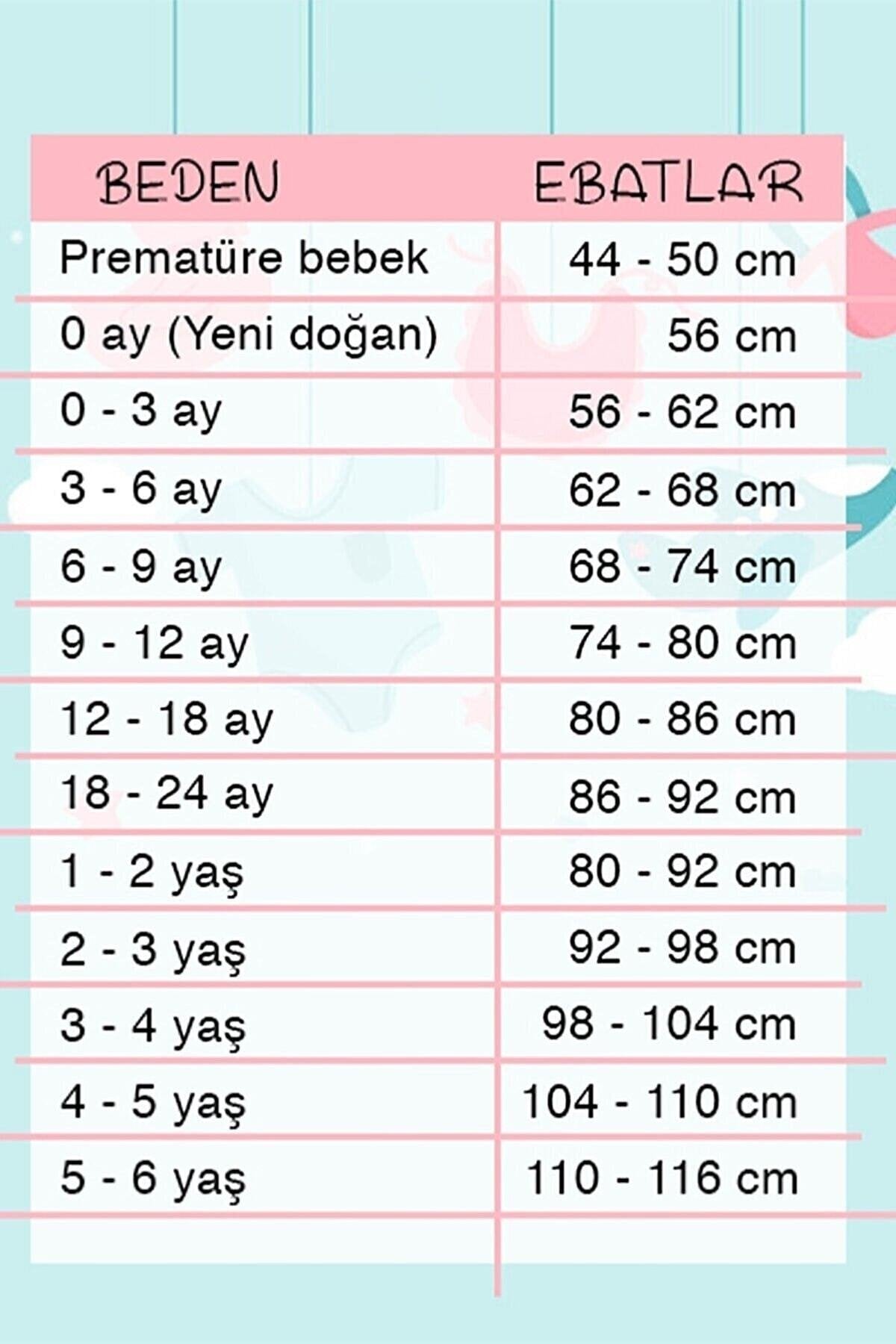 Sport Erkek Bebek 2 Li Takım